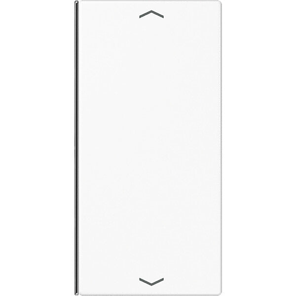 JUNG Taste 2-fach aws Symbol Auf/Ab LS 402 TSAP WW